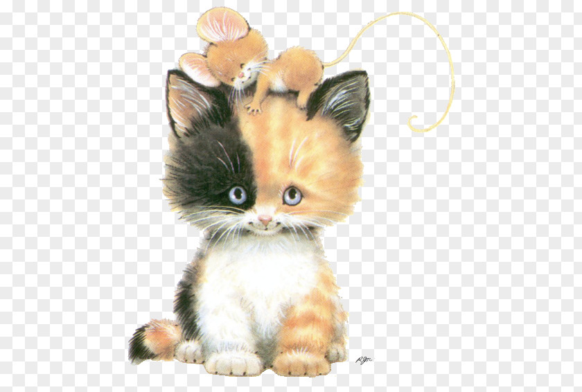 Kitten Mouse Chantilly-Tiffany Asian Semi-longhair Persian Cat PNG