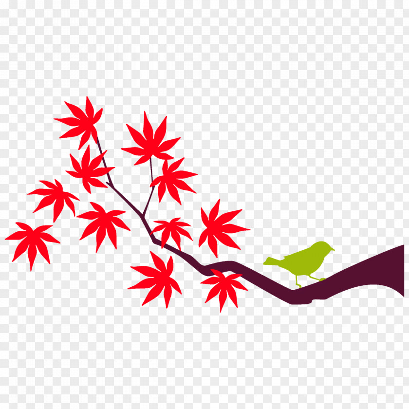Maple Leaf Branch Leaves Autumn Tree PNG