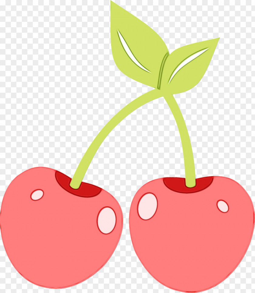 Prunus Drupe Fruit Cartoon PNG