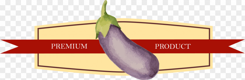 Purple Eggplant Label Icon PNG