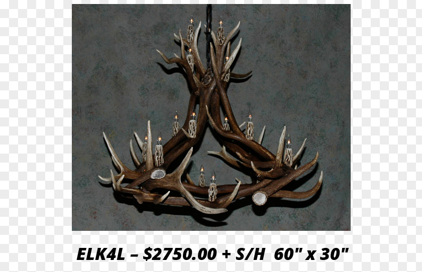 Antler Elk White-tailed Deer Moose PNG