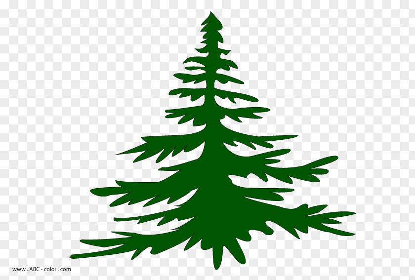 Christmas Tree Clip Art Fir Spruce PNG