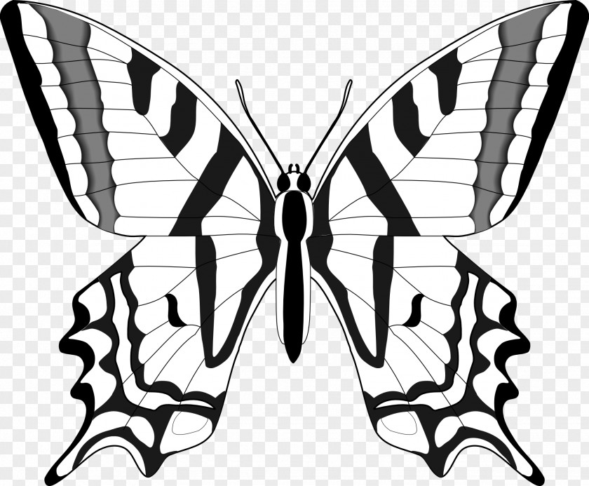 Black And White Butterfly Clip Art PNG