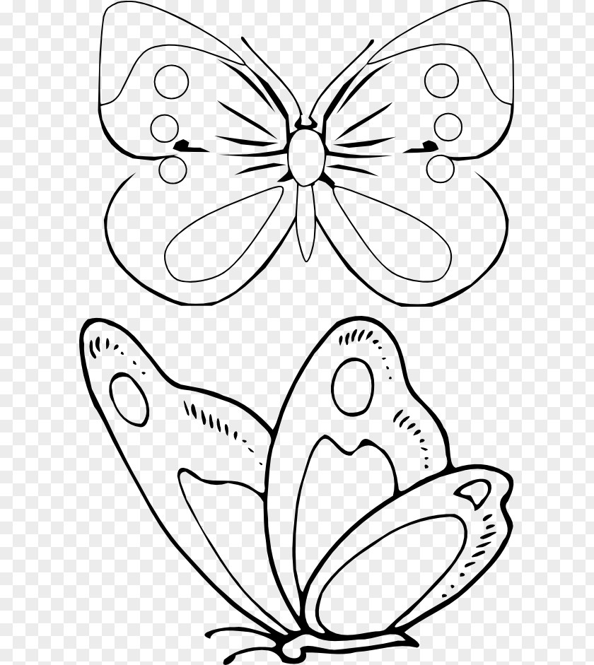 Butterfly Coloring Book Drawing Document Information PNG