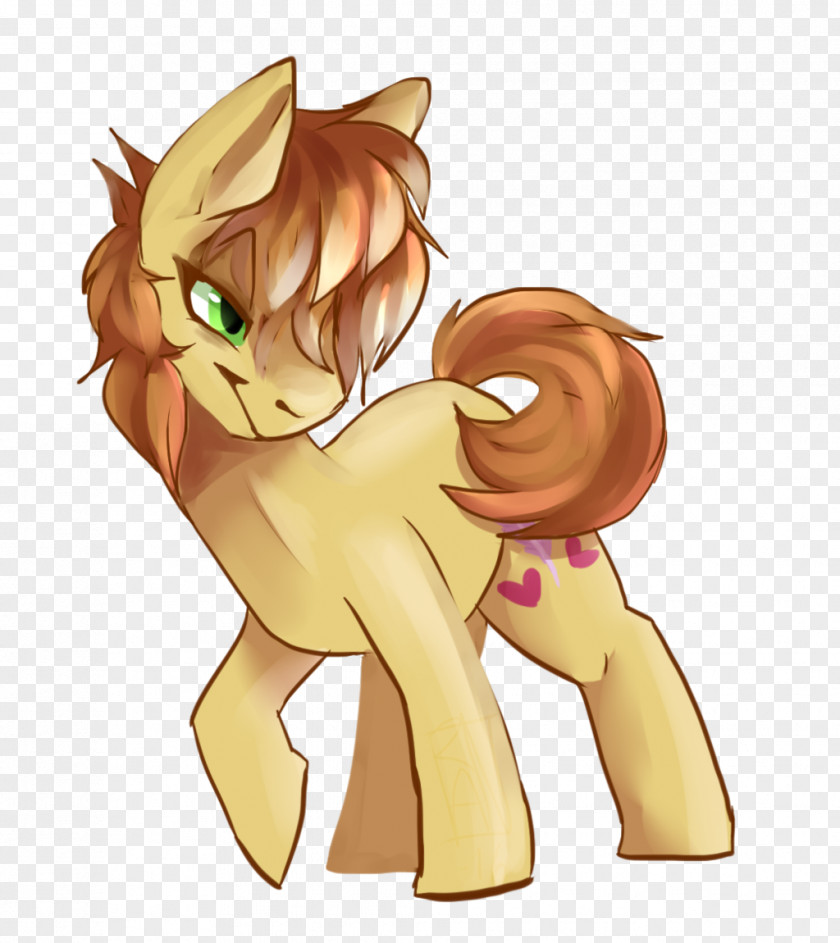 Cat Horse Canidae Dog PNG