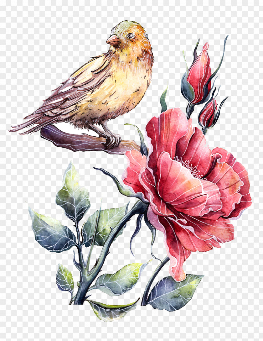 Watercolor Sparrow And Peony T-shirt Enilandu2122 Clothing Online Shopping Sleeve PNG