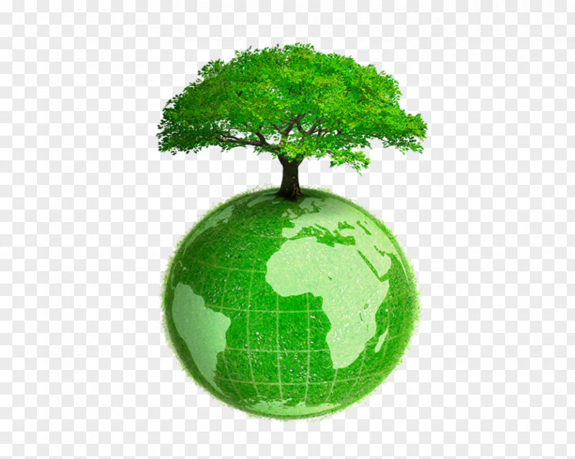 Earth Environmentally Friendly Natural Environment Sustainability PNG