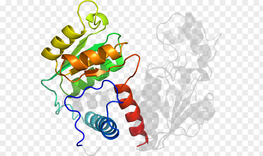 Mycoplasma Line Point Organism Clip Art PNG