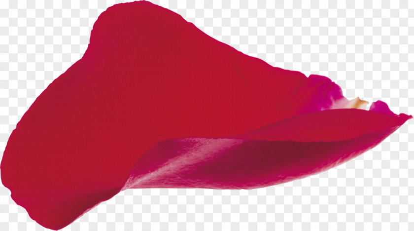 Petals PhotoScape GIMP PNG