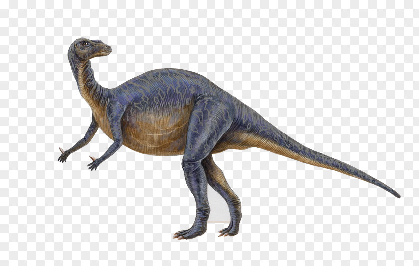 Terror Empire Tyrannosaurus Iguanodon Dinosaur Drawing PNG