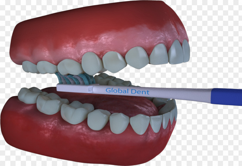 Tooth Dental Software Dentistry Computer PNG