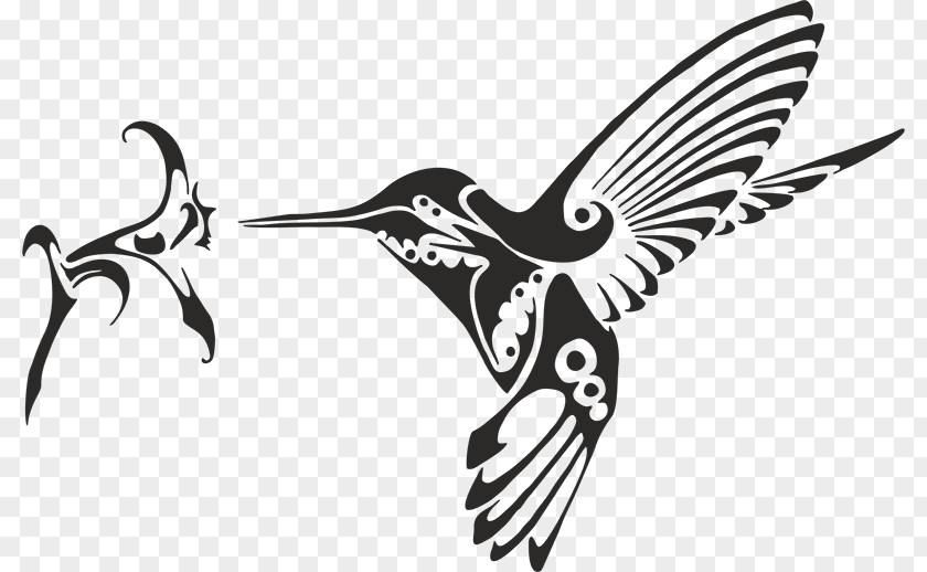 Bird Hummingbird Tattoo Clip Art Image PNG