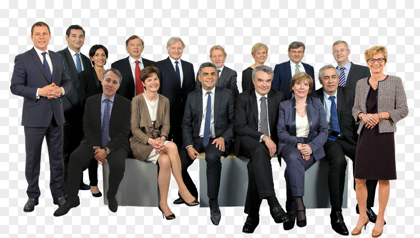 Board Of Directors Recruitment Executive Search Swisselect Ag Zürich Recruiter Interim Management PNG