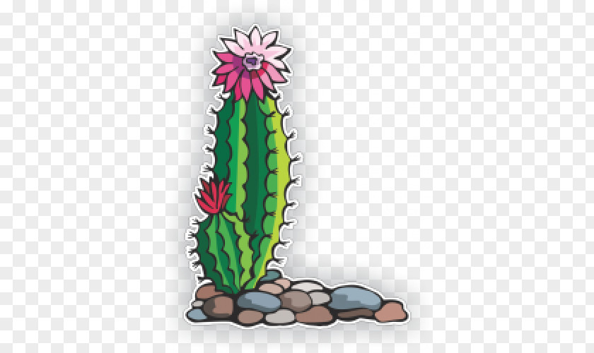 Cactus Clip Art Flowers Image Drawing PNG