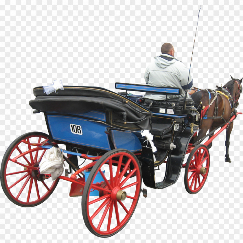 Carriage Horse And Buggy Wagon PNG