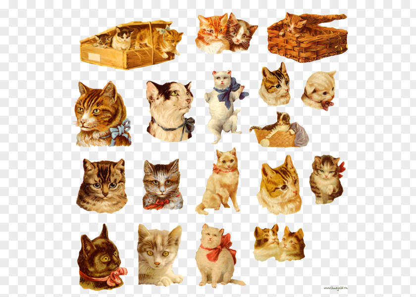 Cat Collage Decoupage Clip Art PNG