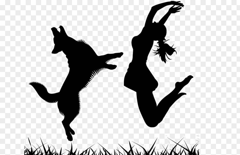 Dancing Dog Musical Canine Freestyle Silhouette Canidae PNG