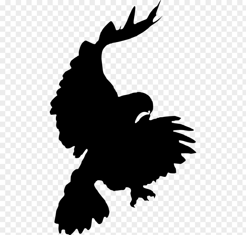 Flying Bird Vector Free Download Red-tailed Hawk Silhouette Clip Art PNG