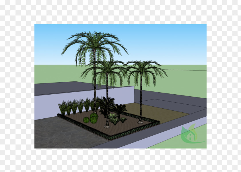 Garden Center Palm Trees Landscaping Land Lot Real Property PNG