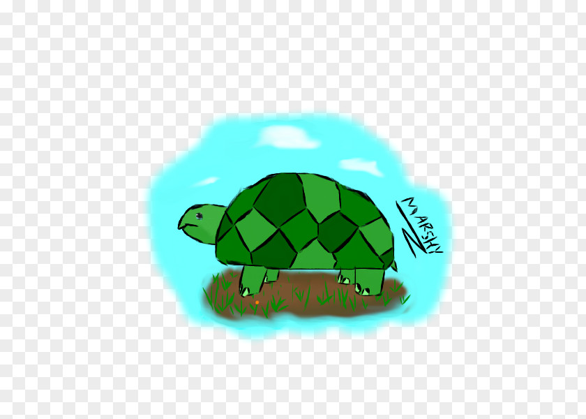 Tortoide Sea Turtle Reptile PNG