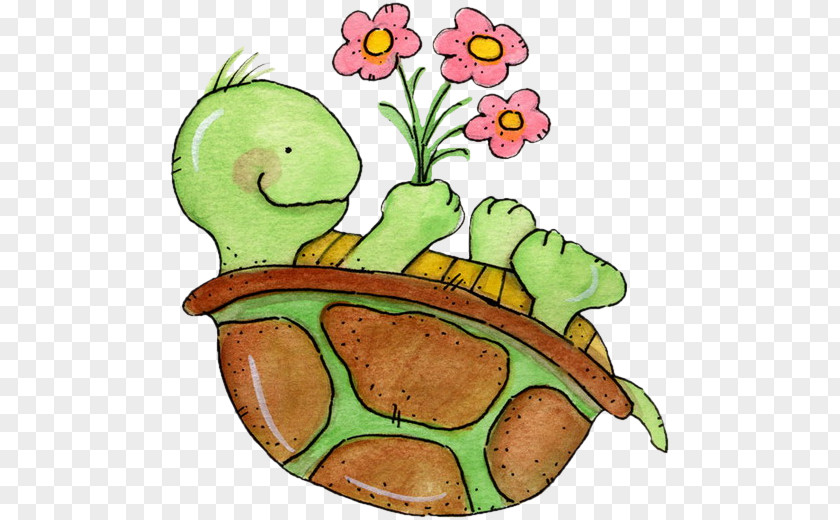 Turtle Sea Drawing Clip Art PNG