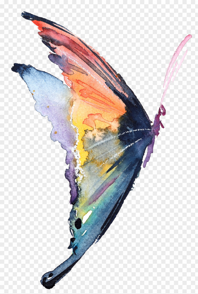 Watercolor Butterfly Carolynn's Reflexology Painting Insect PNG