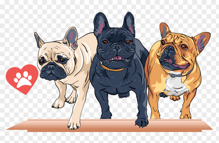 Cartoon Pet Dog French Bulldog T-shirt Stock Photography Royalty-free PNG