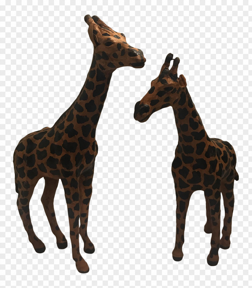 Giraffe Giraffidae Wildlife Northern Neck Animal Download PNG