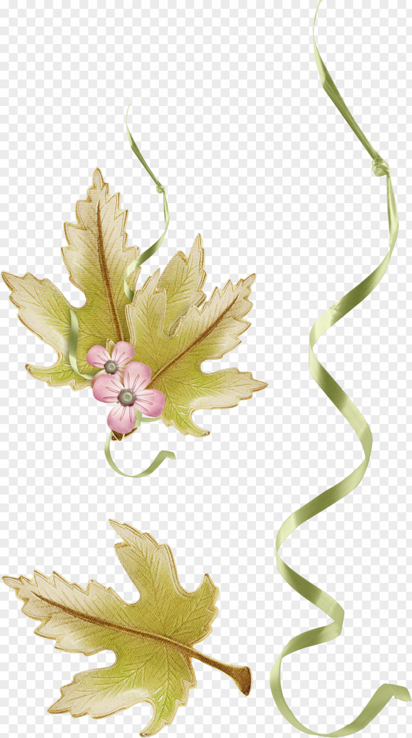 Leaf Floral Design Flower Clip Art PNG