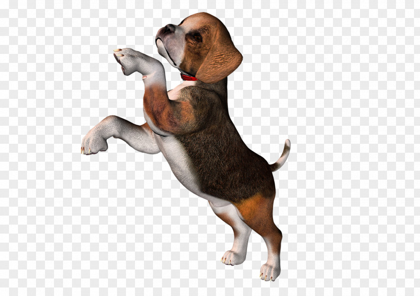 Puppy Pocket Beagle Clip Art PNG