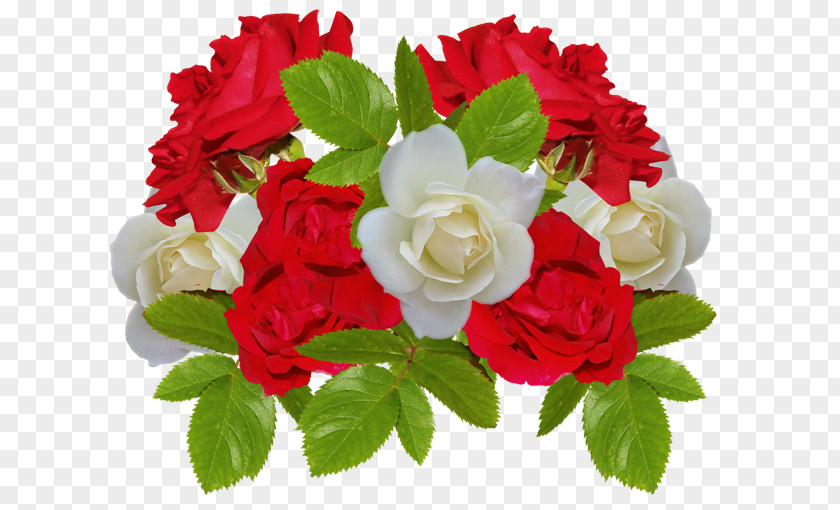 Rose Al Birk Flower Clip Art PNG
