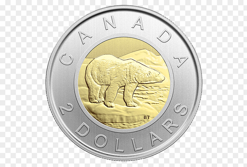 Snow Goose Coin Canada 0 PNG
