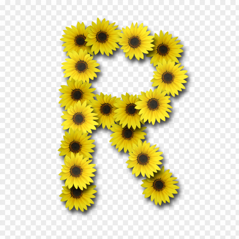 Sunflower Alphabet Letter J PNG