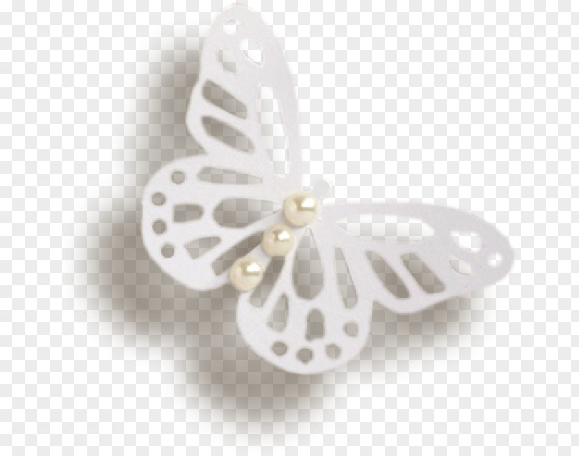 White Butterfly Penguin PNG