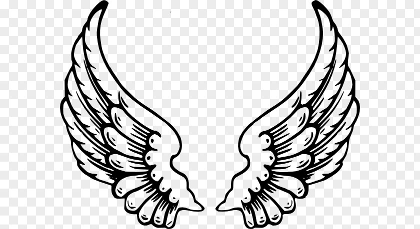 Eagle Clipart Black And White Drawing Angel Coloring Book Clip Art PNG