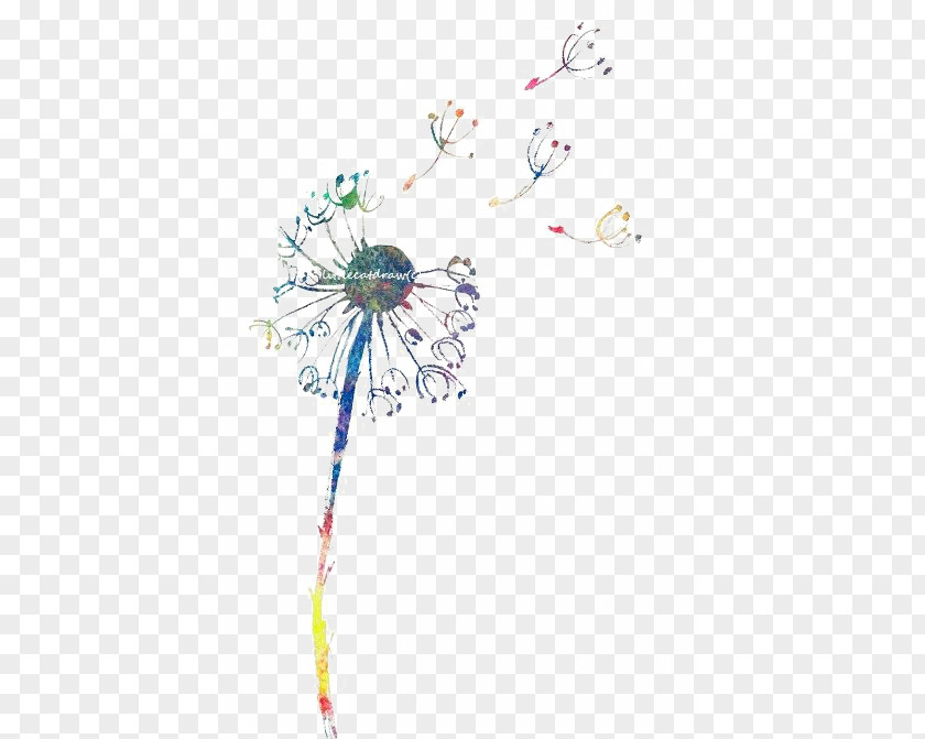 Hand Painted Dandelion Common Drawing Clip Art PNG