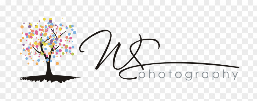 Photography Logo Graphic Design PNG