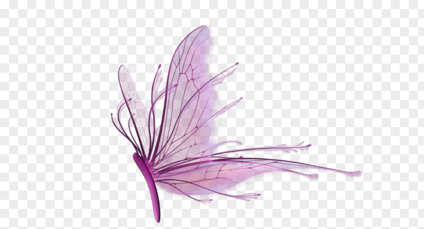 Purple Dragonfly PNG