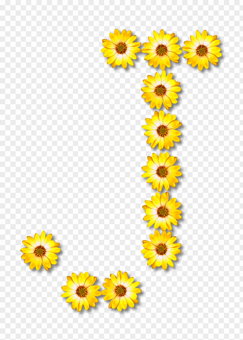 Zipper Common Sunflower Clip Art PNG
