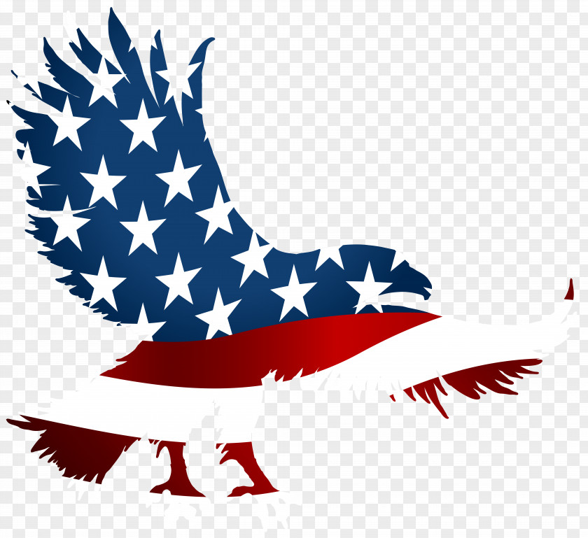 American Eagle Flag Transparent Clip Art Image United States T-shirt Outfitters Clothing Jersey PNG
