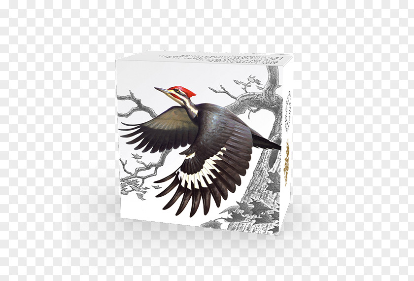 Bird Migratory Birds Convention Act Woodpecker Treaty Of 1918 PNG