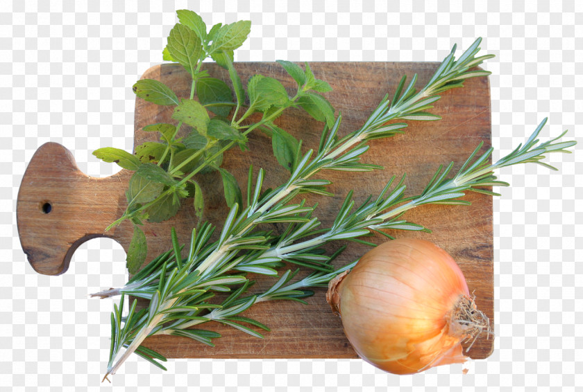 Herbs Rosemary Spice Herb Onion PNG