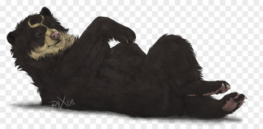 Spectacled Bear Polar Paw Whiskers PNG