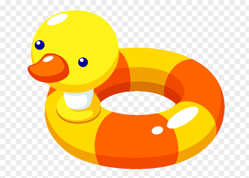 Toy Swim Ring Stock Photography Swimming Pool Clip Art PNG