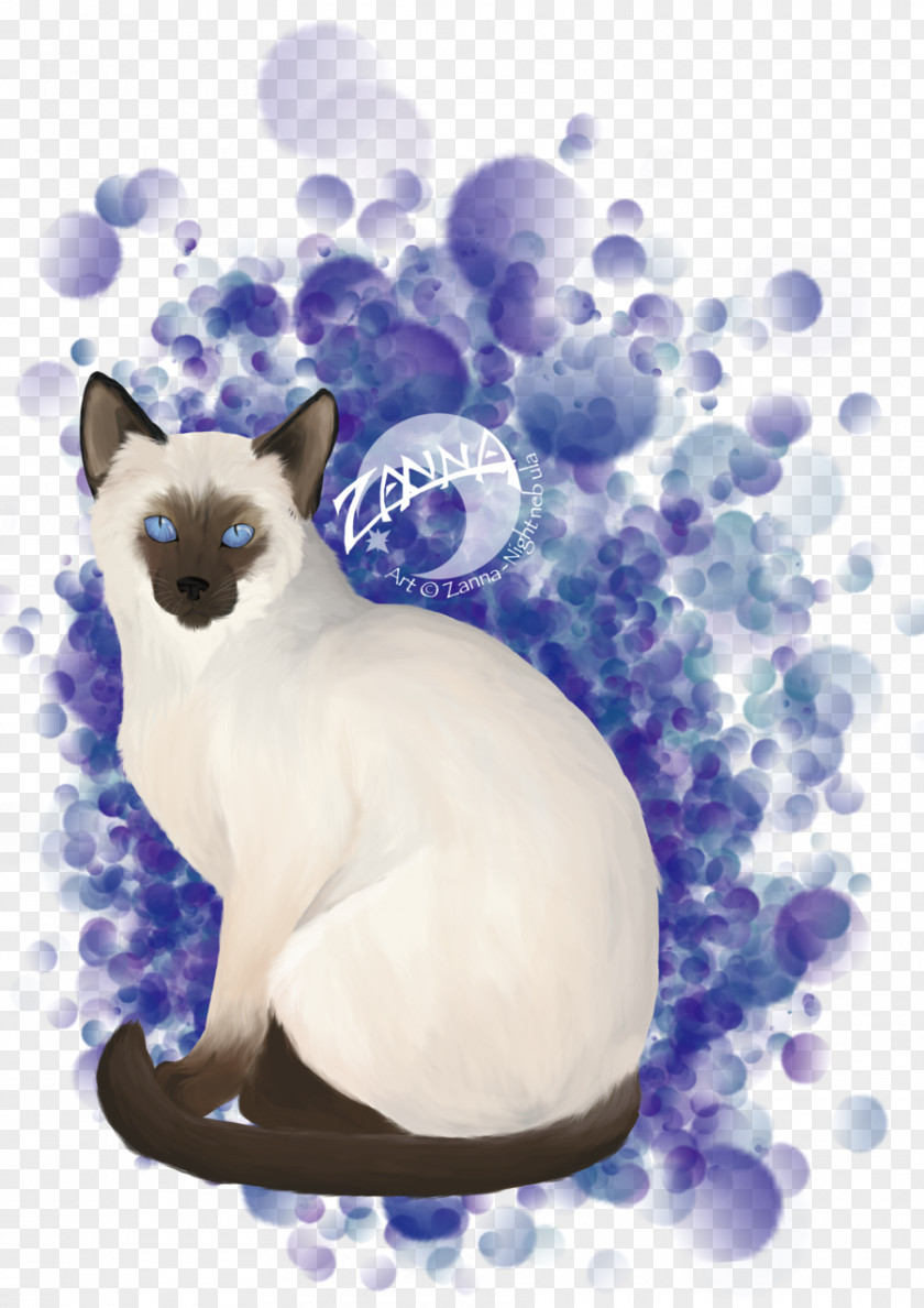 Birthday Night Whiskers Cat Paw Illustration Desktop Wallpaper PNG