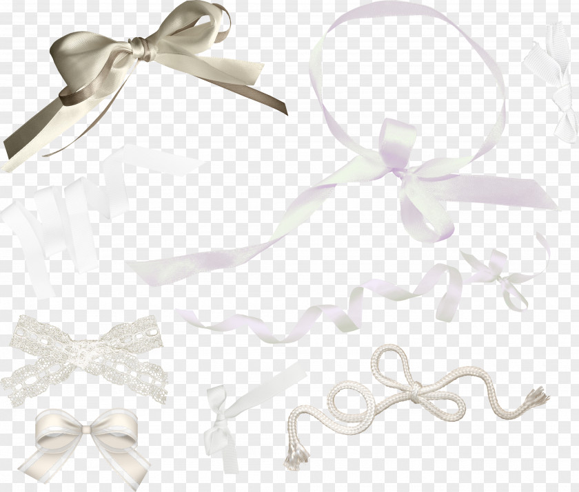 Bowknots Ribbon Gift White Shoelace Knot PNG