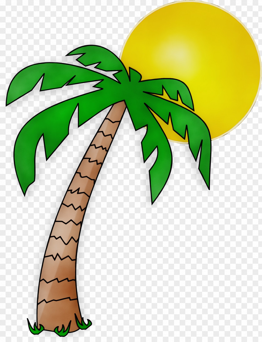 Plant Stem Woody Coconut Tree Drawing PNG