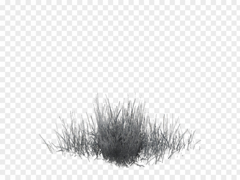 Winter Grass Black White Pattern PNG