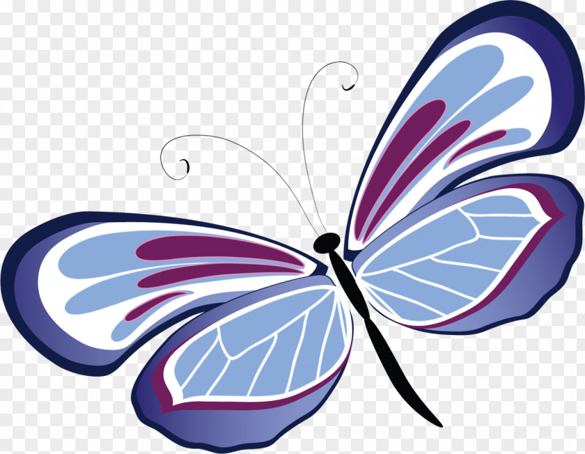 Butterfly Friendship Saying Love Infatuation PNG