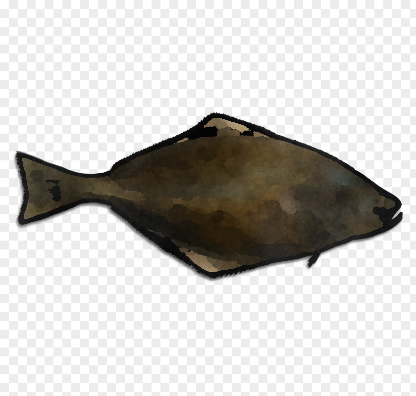 Metal Sole Fish Flatfish PNG